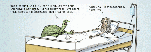 Покатай меня, большая черепаха