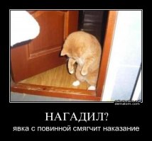 Звери просят прощения