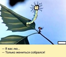 Здесь было "нахал", не надо ля-ля ))