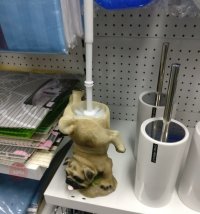 Так и живём