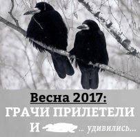 Апрель, что это такое было?