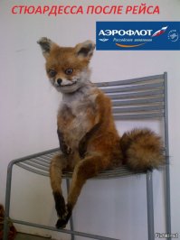 Точно, правдоподобней