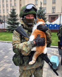О солдатах и зверятах