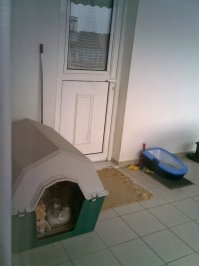 Мои чудесно помещались в одном домике