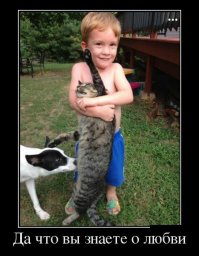 50 причин, почему не стоит оставлять питомцев наедине с детьми