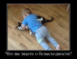 50 причин, почему не стоит оставлять питомцев наедине с детьми