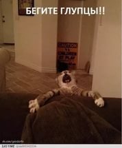 50 причин, почему не стоит оставлять питомцев наедине с детьми