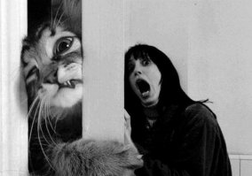 Звери просят прощения