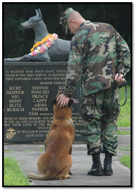 Это памятник доберману Курту, на кладбище военных собак в США. На памятнике так же выбиты клички ещё 24 доберманов погибших во время боёв против японцев.