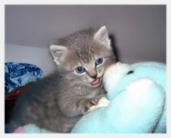 Самые милые фотографии, которые заставят растаять любого!