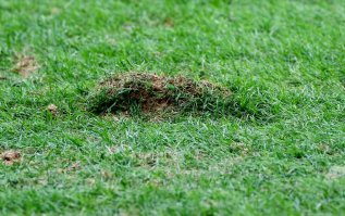 Я был на этой игре, судья мудак!
=============================

На подходе к стадиону лужи, само футбольное поле отвратительного качества, 
Еще крыша протекала! 

Вот вам и объект за 43.000.000.000 рублей 



(Фото не мои)