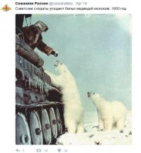 О солдатах и зверятах