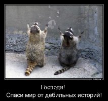 Гендерное равенство