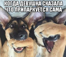 Подборка автомобильных приколов