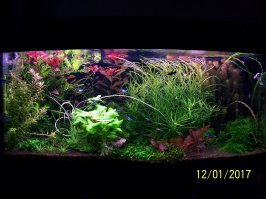 Моё хозяйство.