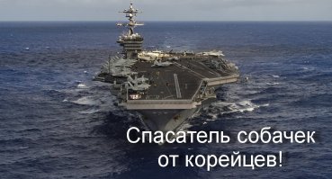 Австралиец мечтает спасти всех собак на земле