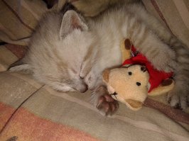 Самые милые фотографии, которые заставят растаять любого!