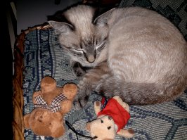 Самые милые фотографии, которые заставят растаять любого!