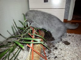 Мы только покурить вышли...