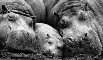 второй день на ФИШКАХ мимиметр шкалит
думал сломался, а не-е-е-ет, просто шунт надо добавить, расширить шкалу