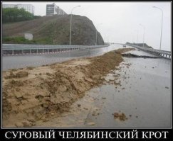 Что Челябинский крот делает во Владивостоке...
