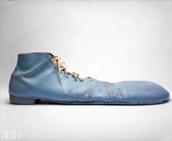 Педали у павлина тож ничё