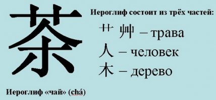 Индийский чайный завод: вид изнутри