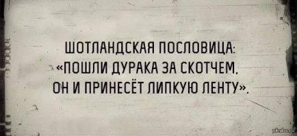 Русские поговорки, выносящие мозг иностранцам