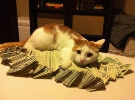 Тут штука баксов или меньше. Все купюры номиналом в 1 зеленый.
Даже комп не купишь, только чемодан с железками.