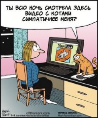 Почему кошка топчет Вас лапками