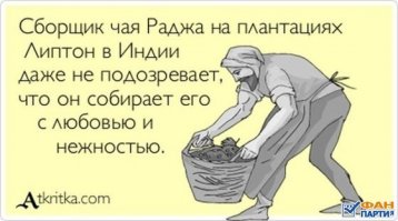 Индийский чайный завод: вид изнутри
