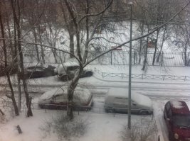 Питер 23 04. всё бы ничего, но последний снег был 2 месяца назад