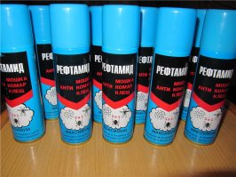 Вот это православная, правильная ВДэшка на все случаи жизни.