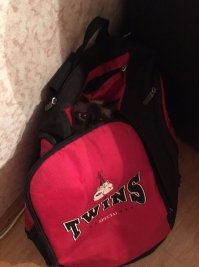 Собираю сумку на тренировку, а там...