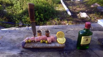 Мой первый Хариус через 15 минут после вылова. Карелия. Пяозеро)