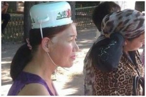 Хохлядь обыкновенная! Эту тварь ни с кем не спутать!