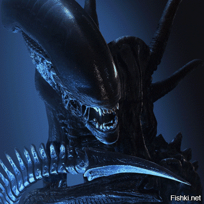 Страшная находка на потолке