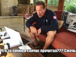 17-летний подросток заработал миллион долларов на продаже носков