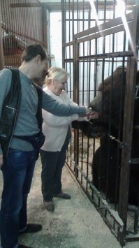 А знаете ли вы...
Одно из направлений волонтеров - Зооволонтерство. Оно подразумевает не только помощь приютам, зоопаркам и пр. Помогая диким животным и птицам, а также приютив бездомное животное (собаку,кошку и т.д.) и ухаживая за ним - вы, сами о том не догадываясь, становитесь Зооволонтером.

А это мой подопечный некоторое время назад (Медведь-киноактер Малыш и его "мама" Валентина Ивановна)