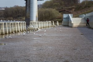 Вот наша Смоленская юбилейная набережная реки Днепр.Вода спала и спала набережная.По тумбам можно изучать какой уровень был реки и как спадал Днепр.Тумбы не крепились,а просто стояли под собственным весом на двух штырях длинной сантиметров 10 из восемнадцатой арматуры.
Хотел свои вставить,но мои большие по объёму.Поэтому вставил из газеты Реадовка.ру.
У нас ещё много осталось юбилейных объектов.Так что думаю это не последние фотографии из Смоленска.