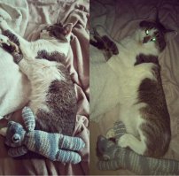 Самые милые фотографии, которые заставят растаять любого!