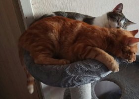 Самые милые фотографии, которые заставят растаять любого!