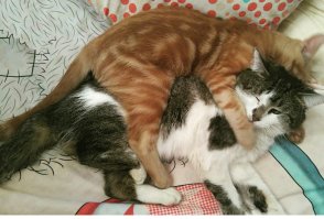 Самые милые фотографии, которые заставят растаять любого!