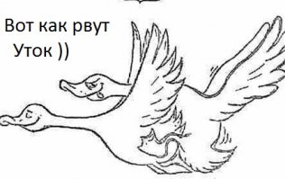 Пять отличных бутербродов