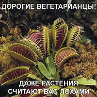 Хищные растения острова Борнео