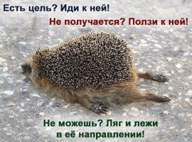 Мотиваторы про жизнь