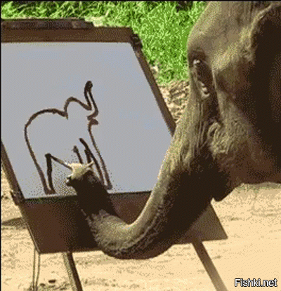 то чувство, когда слон рисует лучше тебя