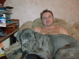 9 лет назад. Щенку 4,5 месяца.  А самого большого дога видел в Ташкенте,  году в 91. Крипторх, выбраковки по кличке Демон. Палевыц дог 106 см.  в холке.