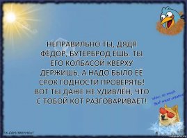Пять отличных бутербродов