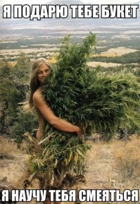 Индийский чайный завод: вид изнутри